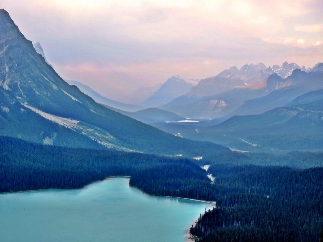 img_1672-1 - OPT