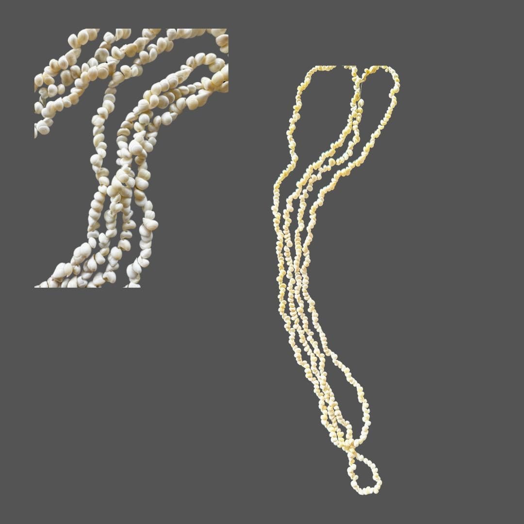 g10 shell necklace