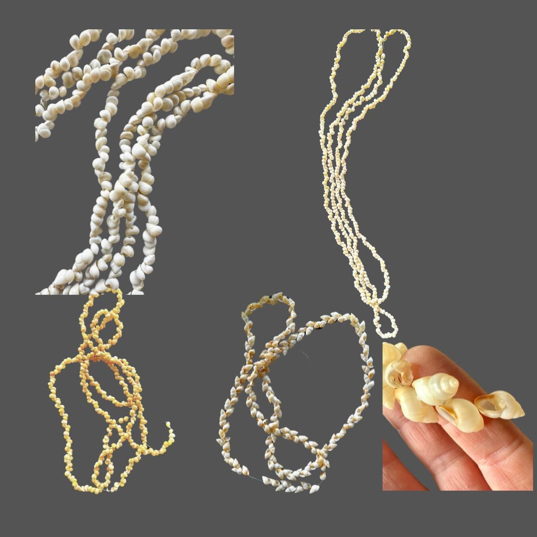shell necklace