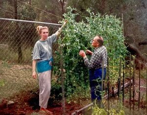 lara and deda in garden - OPT two people in a vegetable garden