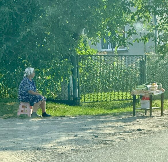 Elderly woman sits on a pink stool by a fence, wearing a headscarf and blue patterned dress, near a table of vegetables outside a house.