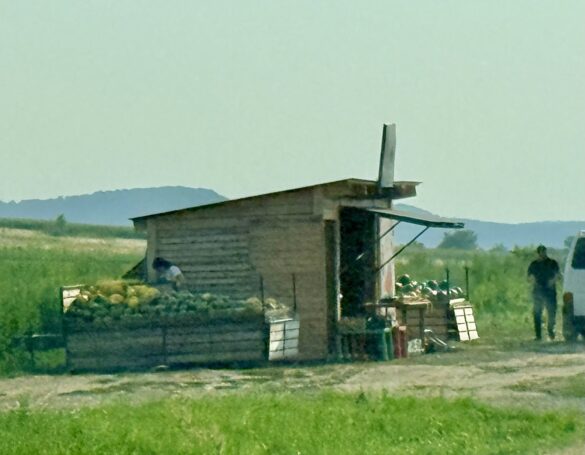 Small wooden roadside produce stand in a grassy field, crates of goods outside, with two people near a white van in the background.
